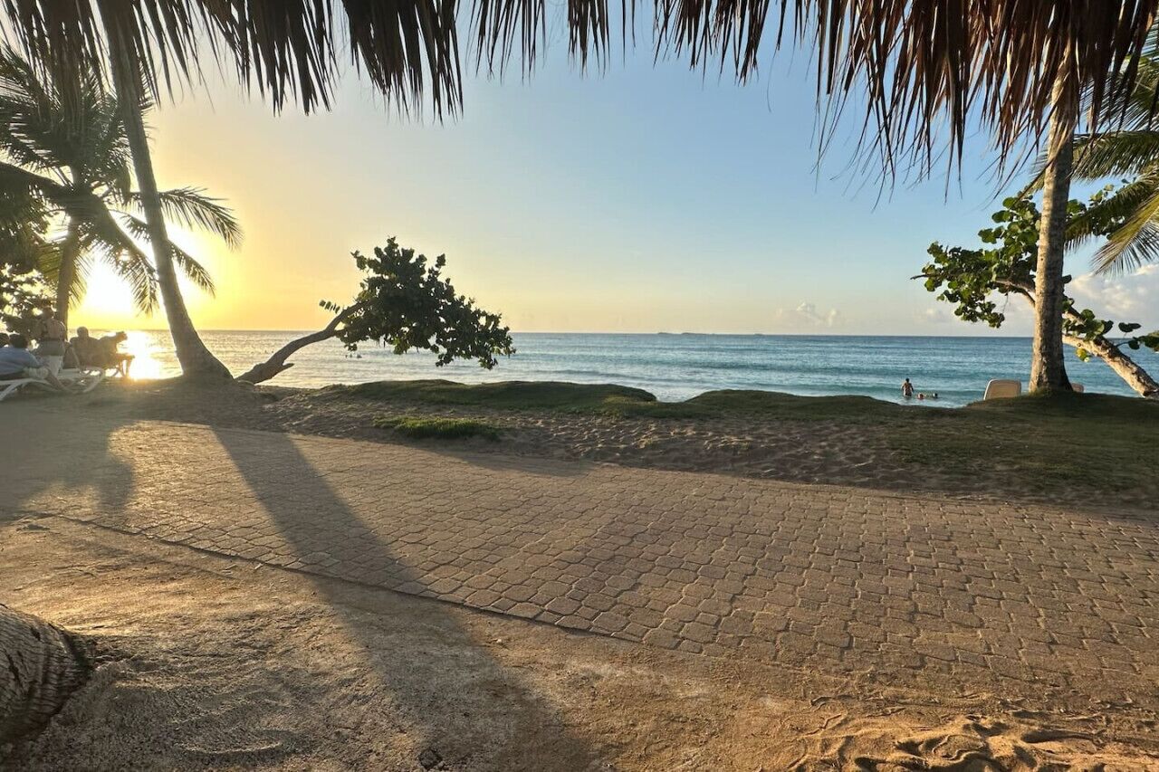 A paved walkway leading to a beach with palm trees and a sunset in the background.