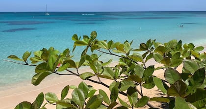 PROMO Beachfront sunsets with Starlink WIFI