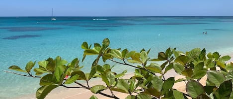 在海滩