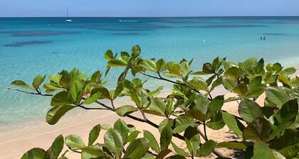 PROMO Beachfront sunsets with Starlink WIFI