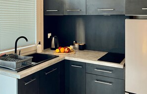 Fridge, microwave, stovetop, cookware/dishes/utensils