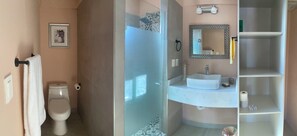 Chuveiro, secador de cabelo, toalhas de banho, sabonete