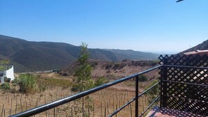 A vineyard with rows of grapevines, a white building, and a mountainous backdrop. - Cabañas hermosa vista Oceano-Montaña (Ensenada)
