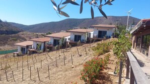 A hillside property with multiple houses, a vineyard, and a wind turbine. - Cabañas hermosa vista Oceano-Montaña (Ensenada)