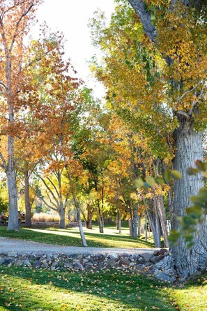 Parco della struttura