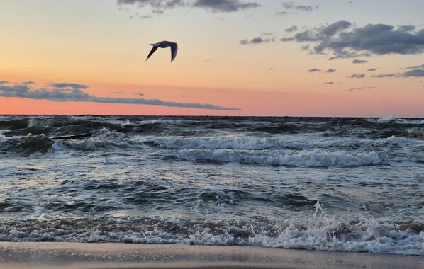 Pesca