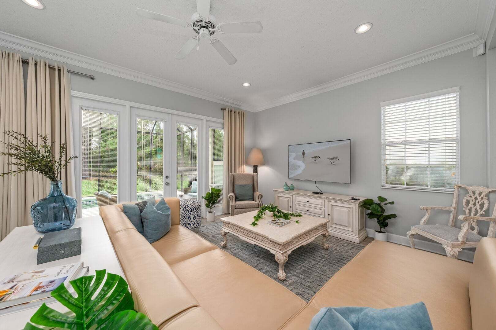 TV