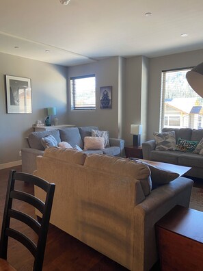 Smart TV, fireplace, books