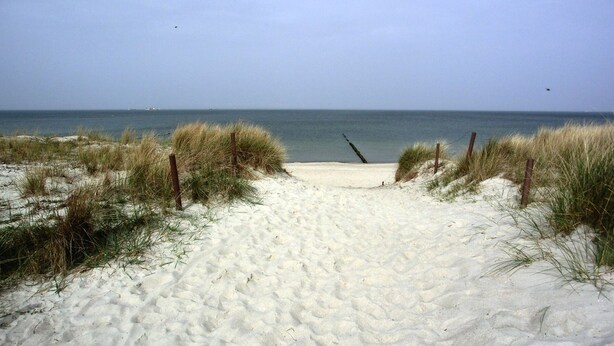 A sandy beach path leading to the ocean, surrounded by grass and wooden posts. - Vacation home directly on the dune, approx. 50 m to the Baltic Sea - Markgrafenheide (Rostock)