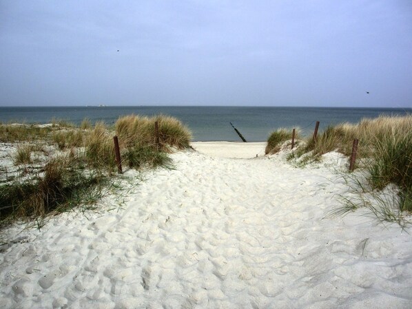 Praia