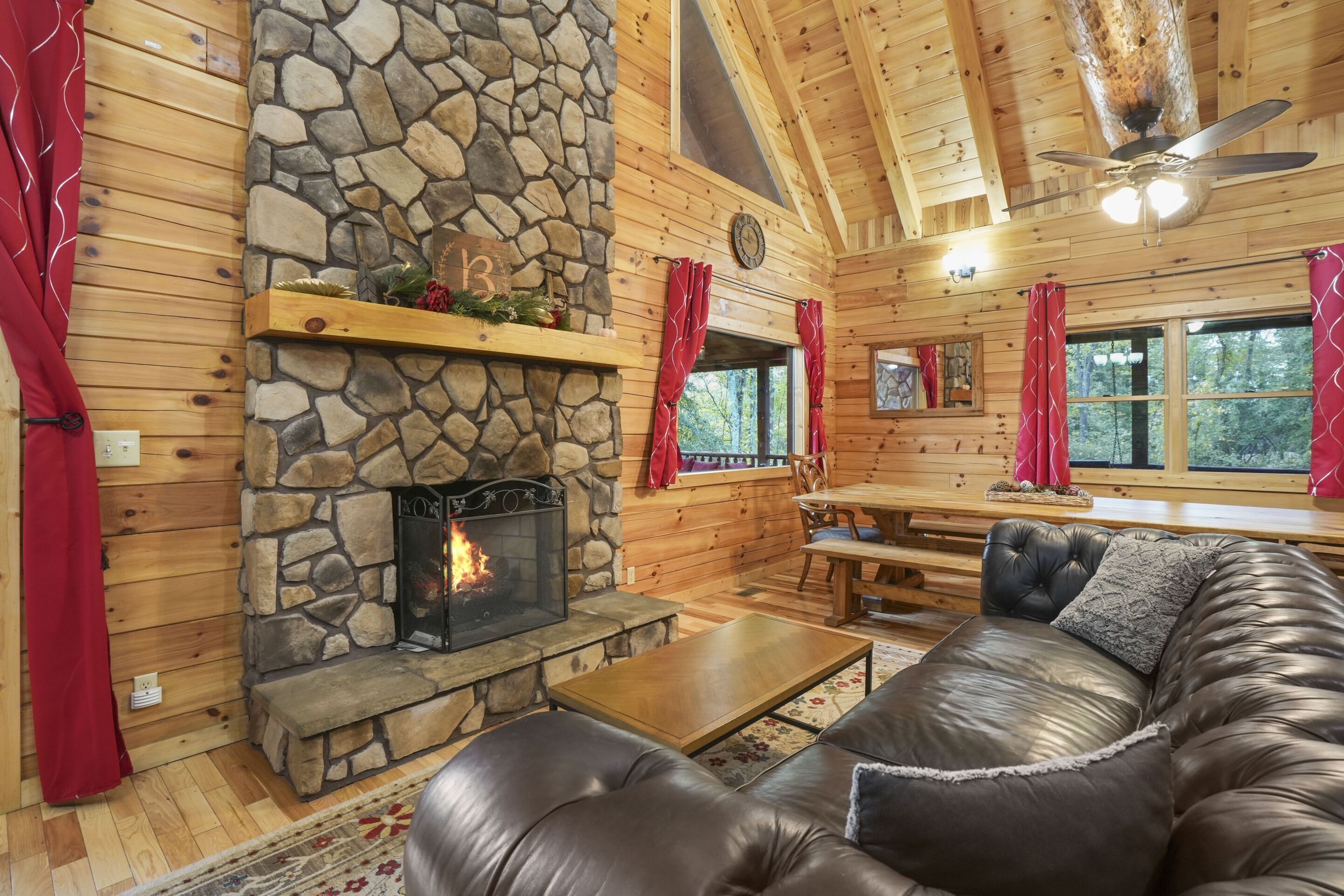 TV, fireplace, DVD player, books