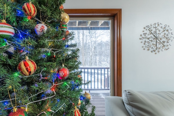 Ready for the holidays at Horseshoe Acres!