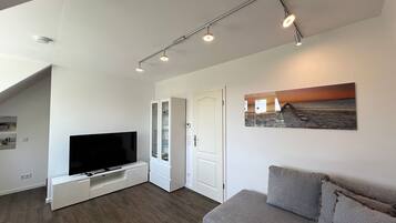 Fernseher, Stereoanlage