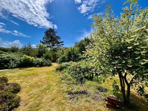 A garden with a variety of trees and shrubs, a clear blue sky, and a brick path.