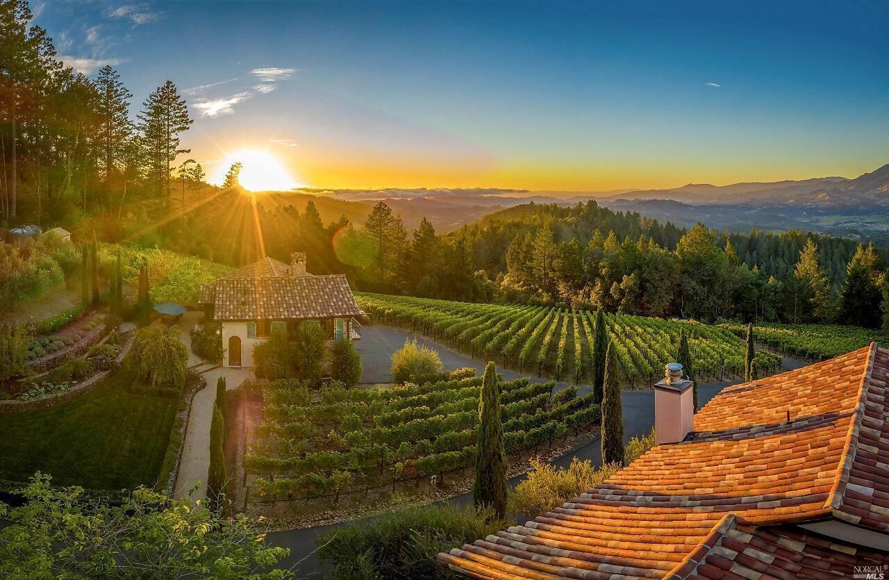A vineyard with terraced fields, a small building, and a clear view of the sunset over the hills.