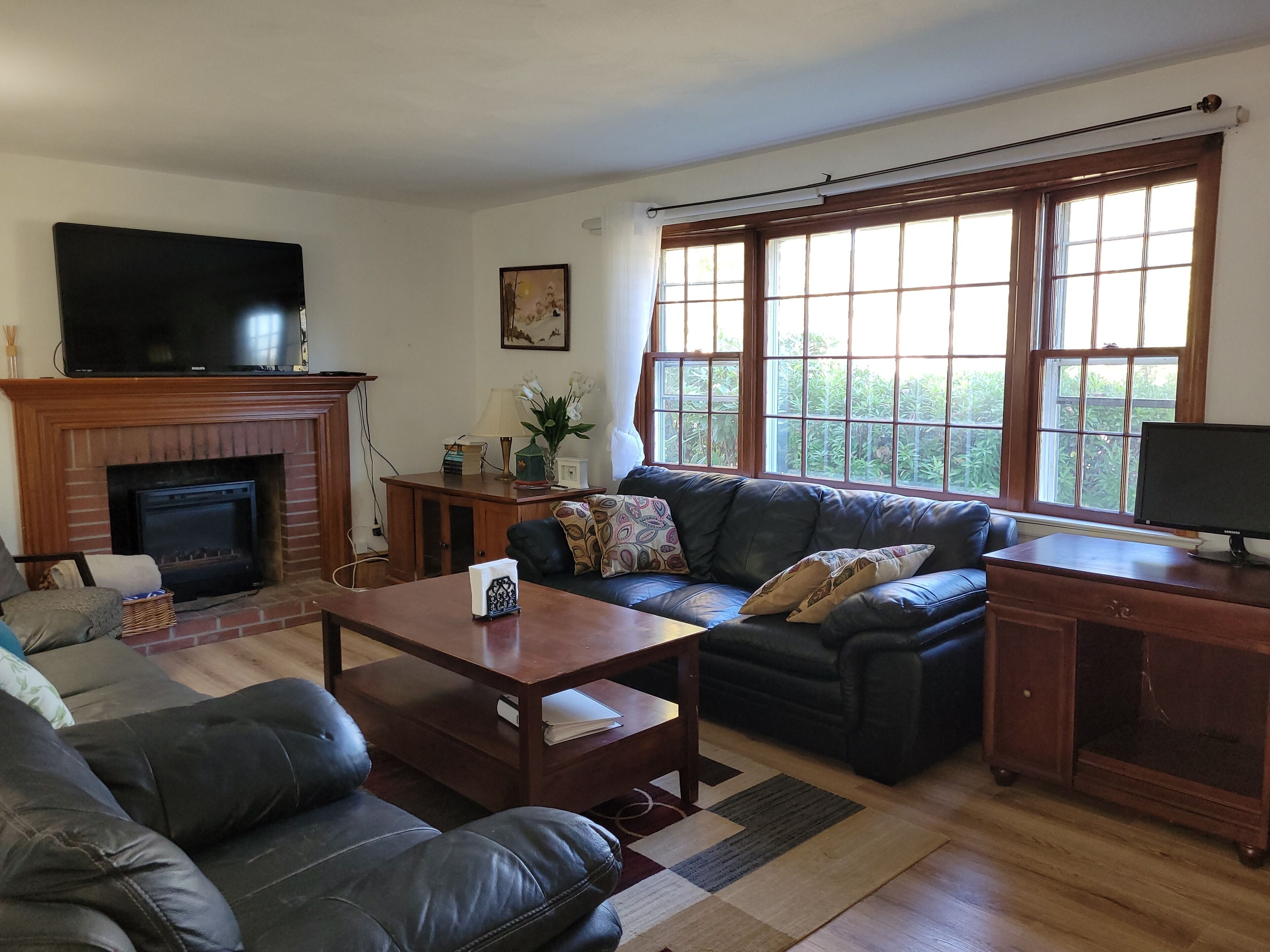 Smart TV, fireplace, books