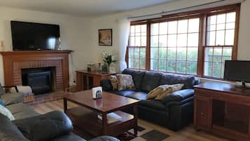 TV connectée, cheminée, livres