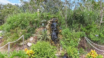 A naturalistic garden setting with a small waterfall, surrounded by dense foliage and various plants.