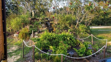 A garden with a water feature, chain-link fence, and various plants.