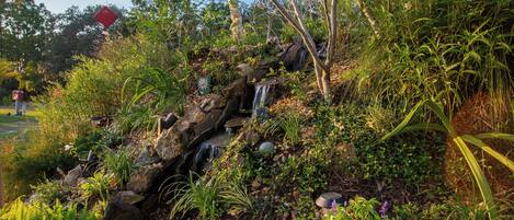 المنطقة المحيطة بالمنشأة