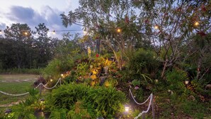 A garden with a water feature, chain-link fence, and string lights. - Waterfall Suite at Zen at the Palms with a Private Hot Tub by the Waterfall! (Homosassa)