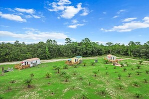 Property grounds - Waterfall Suite ~Private Hot Tub~Zen at the Palms! (Homosassa)