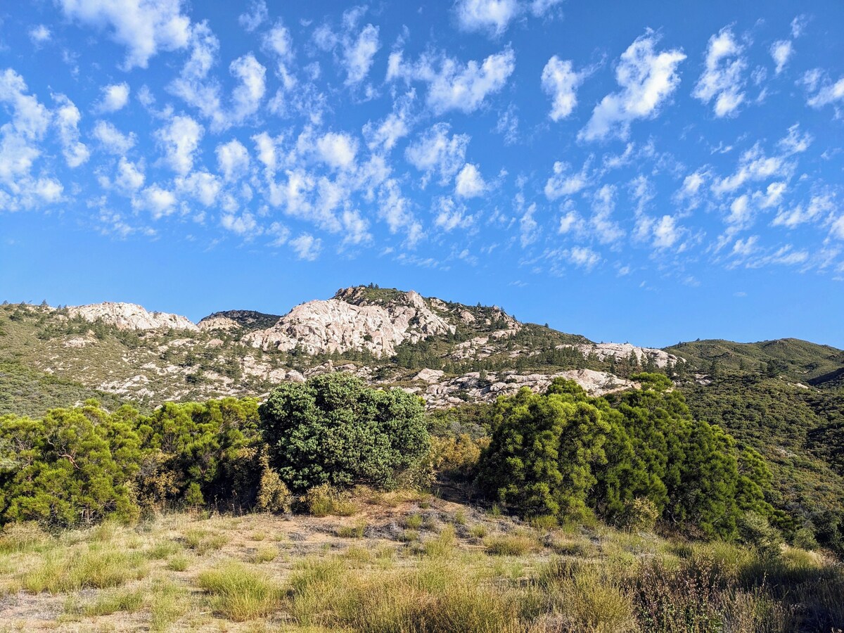 オーナーのプロフィール画像