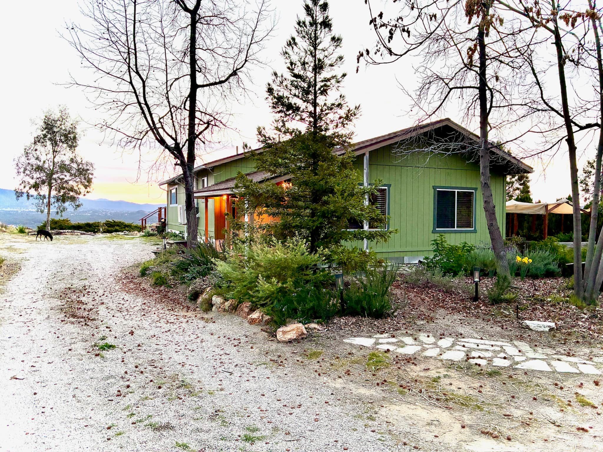 Ein grünes Haus mit einem Schotterweg, umgeben von Bäumen und Sträuchern.