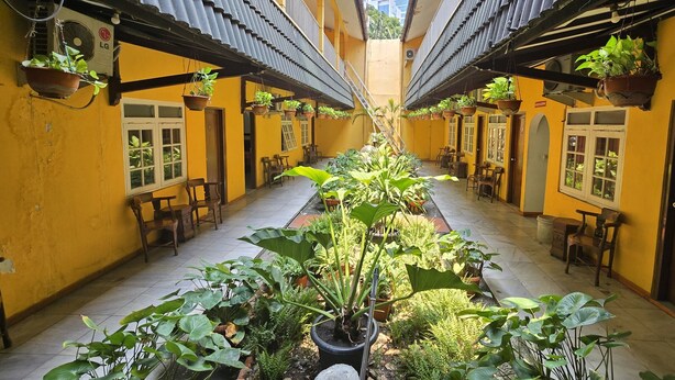 Un pasillo estrecho con paredes amarillas, plantas en macetas y mobiliario de madera.
