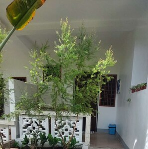 Standard Double Room, Courtyard View | View from room - ARANARA Hotel (Panglao)