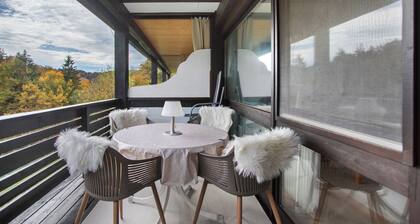 Vacation apartment Haus Seidelbast with balcony and leisure facilities