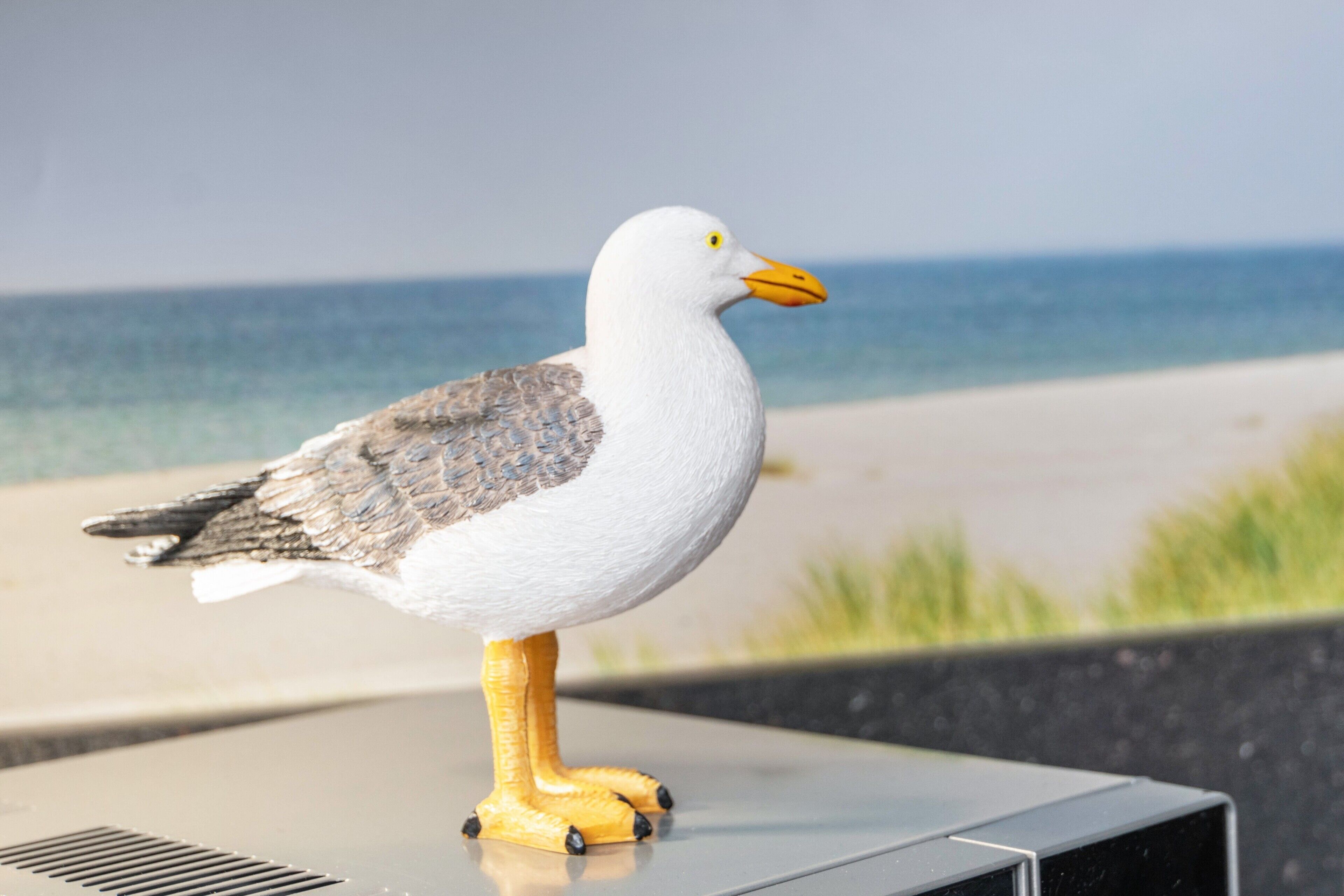 Een zeemeeuwenbeeldje op een metalen oppervlak, met een strand en oceaan op de achtergrond.