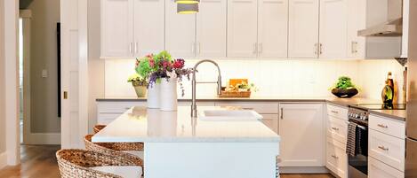 Oven, stovetop, dishwasher