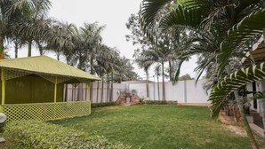 Un jardí ben cuidat amb un petit cobert, gespa verda i palmeres altes.