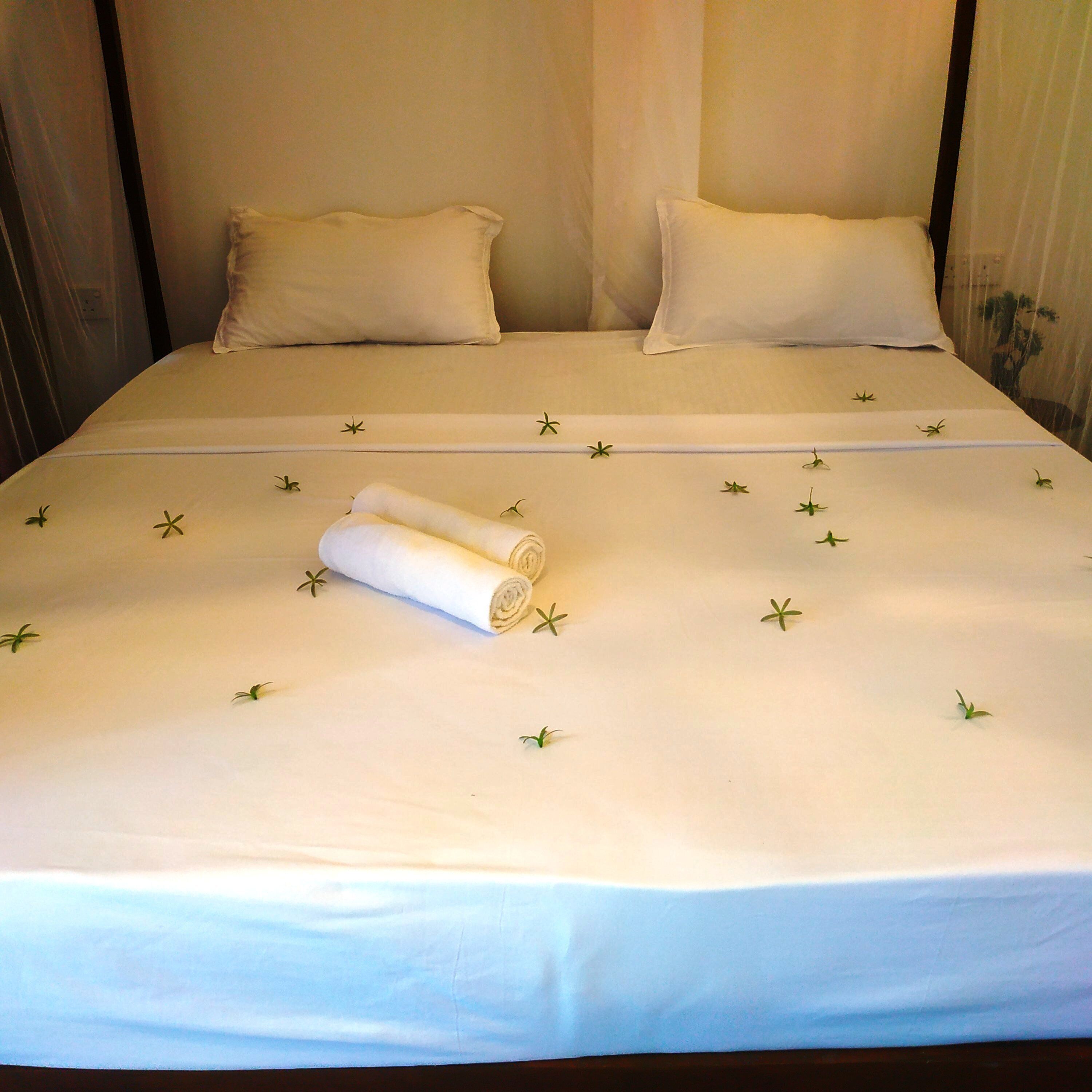 Escritorio, espacio para trabajar con laptop y wifi gratis 