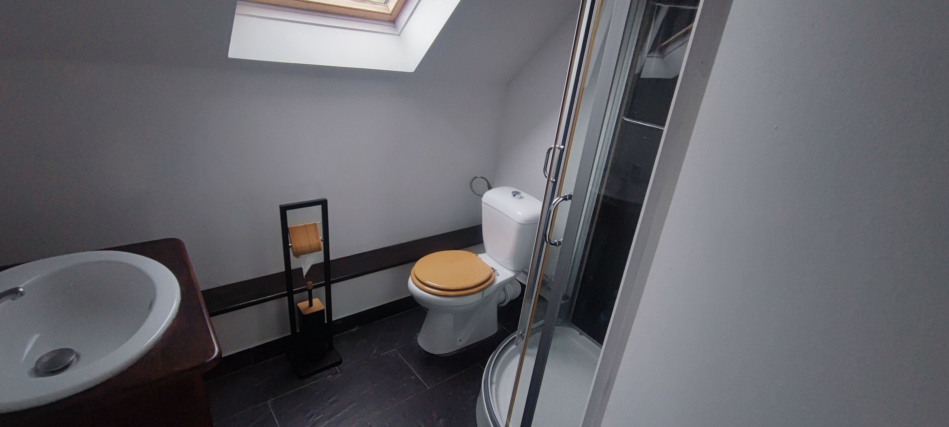 A bathroom with a skylight, a toilet, and a sink.