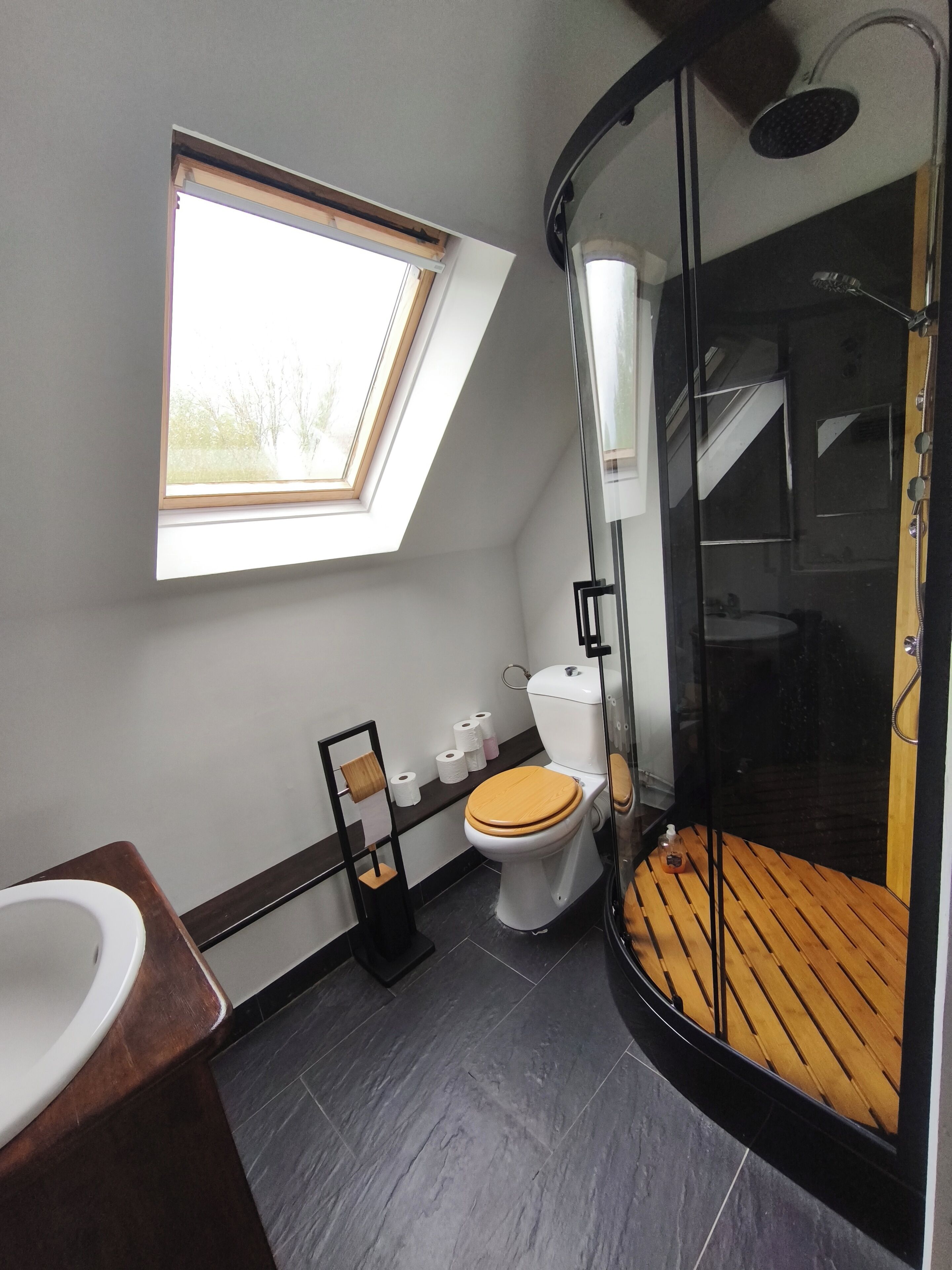 A modern bathroom with a skylight, a toilet, a shower, and a wooden floor.