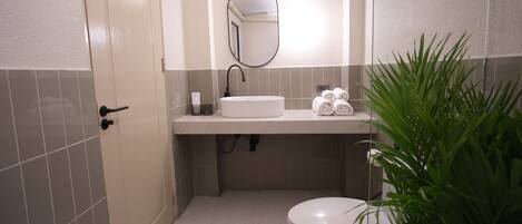 Une salle de bain équipée d’un WC, d’un lavabo, d’un miroir, d’un porte-serviettes et d’une plante en pot.