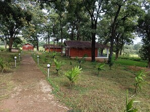 Room, 3 Bedrooms | Property grounds