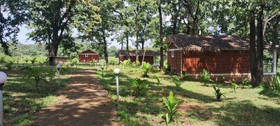 Room in B&B - Cottage In Farm House Dandeli