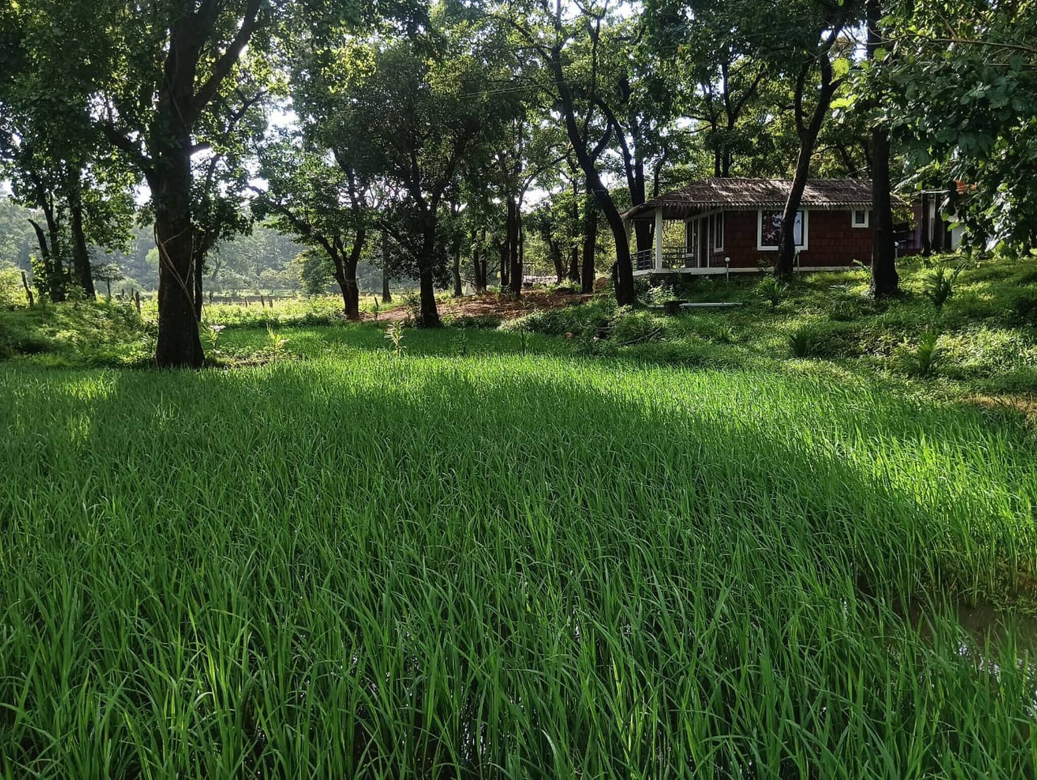 Room, 3 Bedrooms | Property grounds