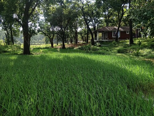 Room in B&B - Cottage In Farm House Dandeli
