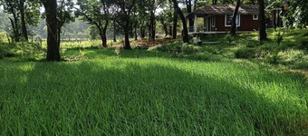 Room in B&B - Cottage In Farm House Dandeli