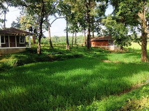 Exterior - Room-cottage In Farm House Dandeli (Joida)