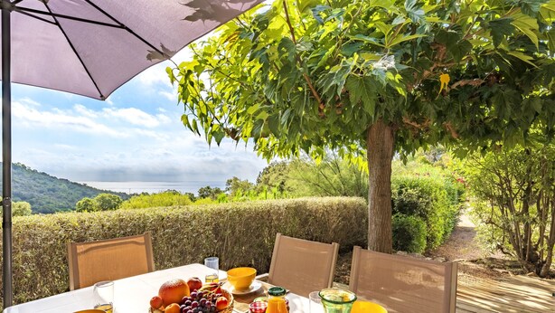 Una mesa para comer al aire libre con vistas al mar, rodeada de vegetación y un árbol.