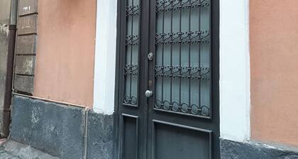 Central House Apartment