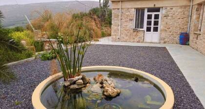 Villa Phyllia, a Property With History