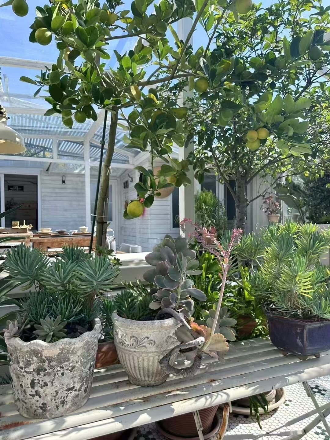 شرفة/رواق