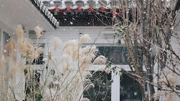 外觀