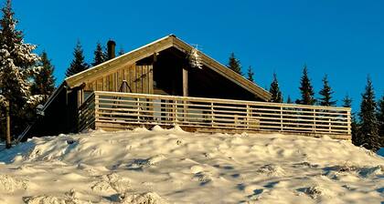 Modern sports cabin on Sjusjøen with sauna and waxing room